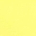 Canary Yellow **END OF BOLT**