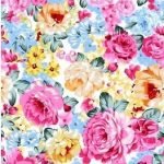 Country Rose Garden Large Roses On White Digital Print