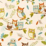 Forest Fellows Owls In Nature