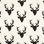 Hello Bear Buck Forest Night