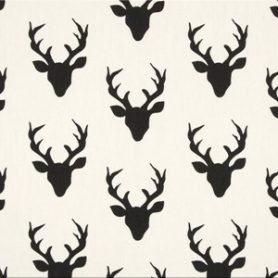 Hello Bear Buck Forest Night