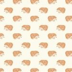 Nature Trail Hedgehogs