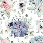 Succulent Garden XS Mini Digital Print