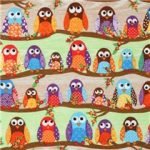 What A Hoot On Branches