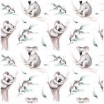 Pre-Order Koalas In Trees