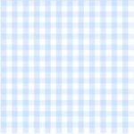 Pre-Order Baby Blue Gingham