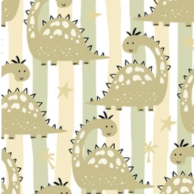 Pre-Order Baby Dino Stripes
