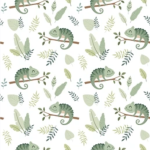 Pre-Order Chameleon Canopy