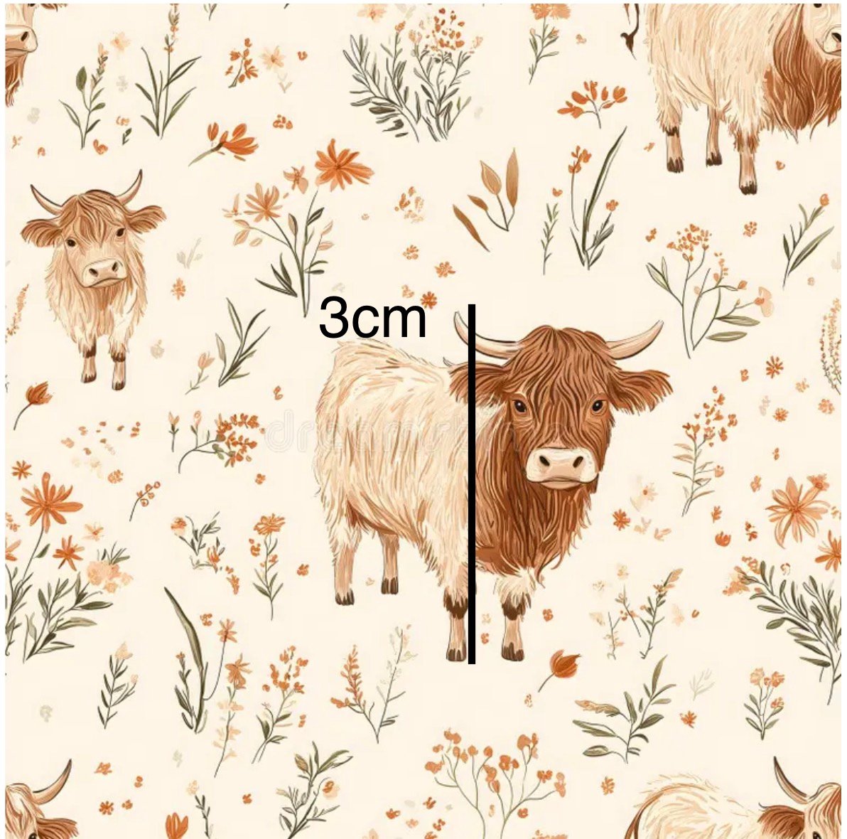 HighlandCowsRoamingSize