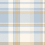 Country Cowboy Plaid