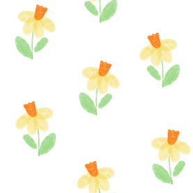 Pre-Order Watercolour Daffodils