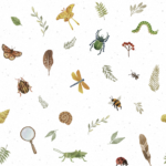 Pre-Order Bug Hunt