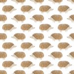 Pre-Order Watercolour Hedgehogs