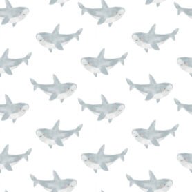Pre-Order Watercolour Sharks