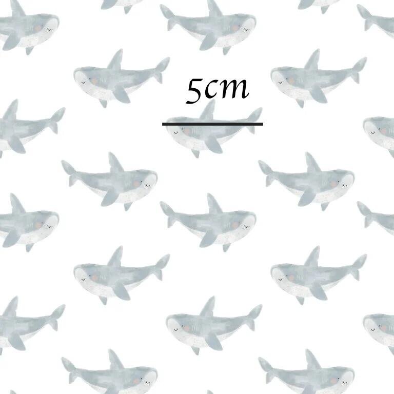 Small_Shark_FayeBDoodles-768x768.jpg