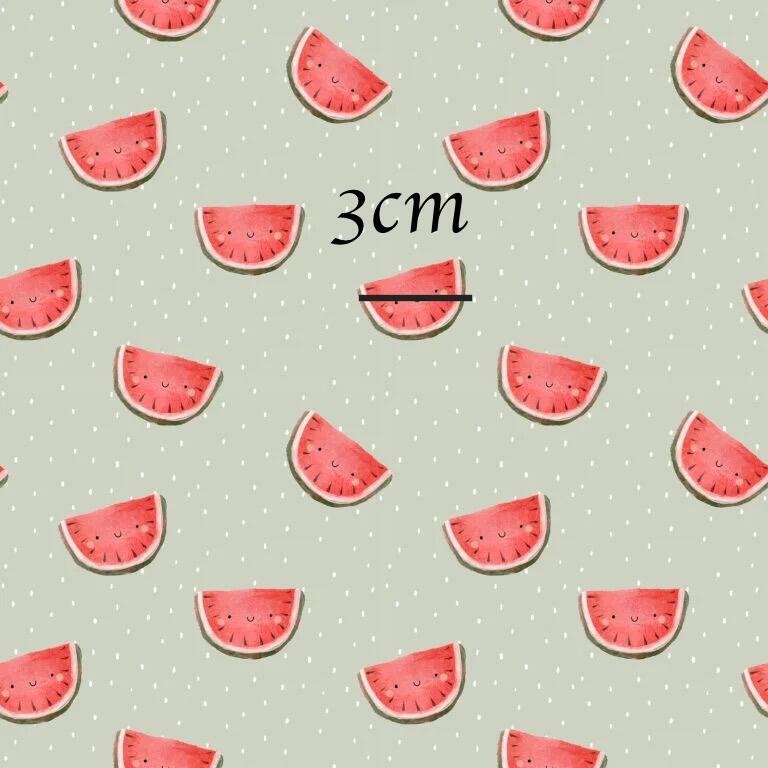 Small_Watermelon_Pistachio_FayeBDoodles-768x768.jpg
