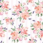 Pre-Order Bellany