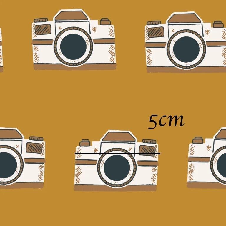 1.6-Vintage-camera-01-768x768.jpg