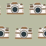 Pre-Order Vintage Camera in Green