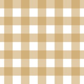 Pre-Order Big Gingham in Mustard