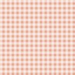 Pre-Order Small Gingham in Terracotta