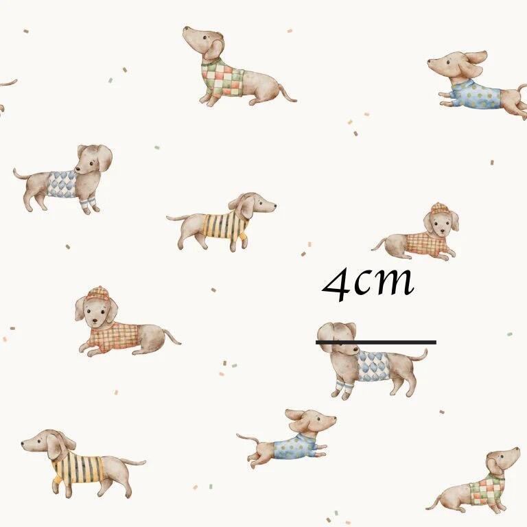 395-DachshundMulti-OffWhite-30x30cm-768x768.jpg