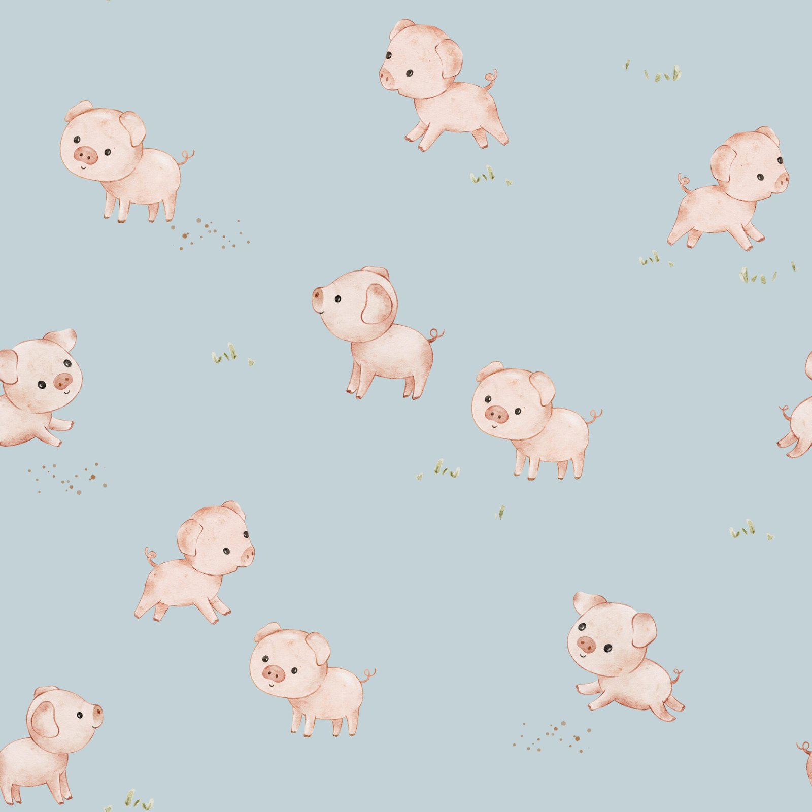 405-PlayfulPig-Sky-30x30cm.jpg