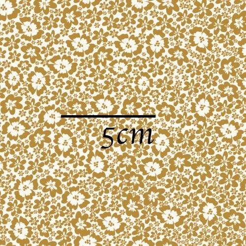 5ED5FE13-C5E7-423A-92BF-46007D04625B