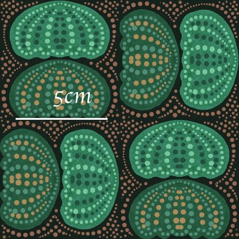 AB0DD8D7-667C-4586-A666-EF6630E04B46