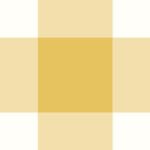 Pre-Order Country Gingham Yellow