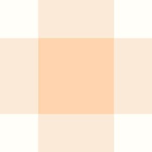 Country-Gingham-16.jpg