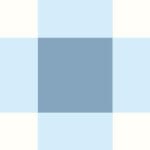 Pre-Order Country Gingham Blue