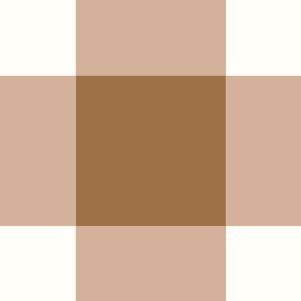 Country-Gingham-20.jpg