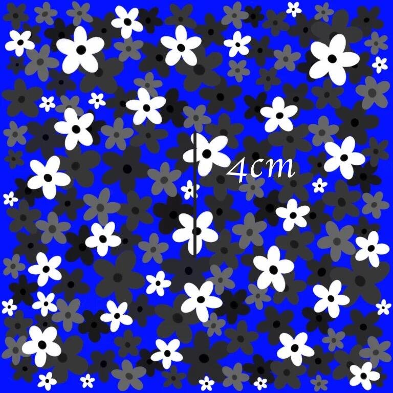 IMG_0008-768x768.png