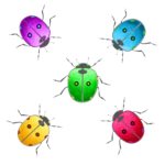 Pre-Order Big bug Rainbow Colors.