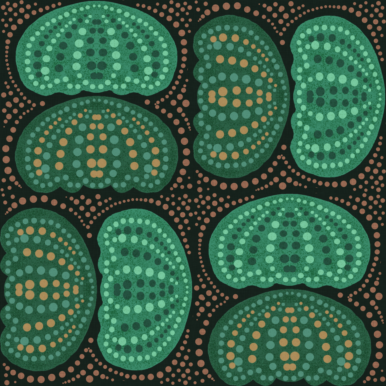 Kina-My-Friend-KELP.png