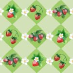 Pre-Order Strawberry Field