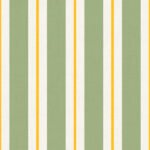 Pre-Order Classic Cabana Stripes Kitsch Minimal Modern Vintage Circus Gold White Sage