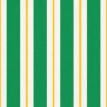 Pre-Order Classic Cabana Stripe Kitsch Minimal Modern Vintage Circus Gold White Green