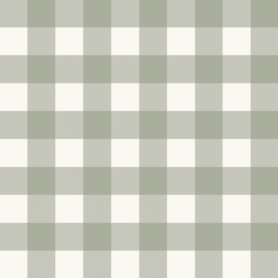 Pre-Order Classic Gingham Checks Farmhouse Cottage Coquette Dorm Western Sage Ivory