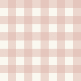 Pre-Order Classic Gingham Checks Farmhouse Cottage Coquette Dorm Western Peach Ivory