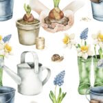 Pre-Order Blooming Bulbs And Watering Cans