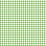 Pre-Order Apple Green Small Gingham