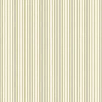 Pre-Order Candy Stripes Olive