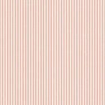 Pre-Order Candy Stripes Rose