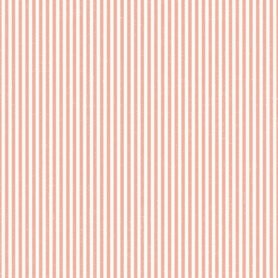 Pre-Order Candy Stripes Rose