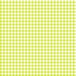 Pre-Order Lime Small Gingham