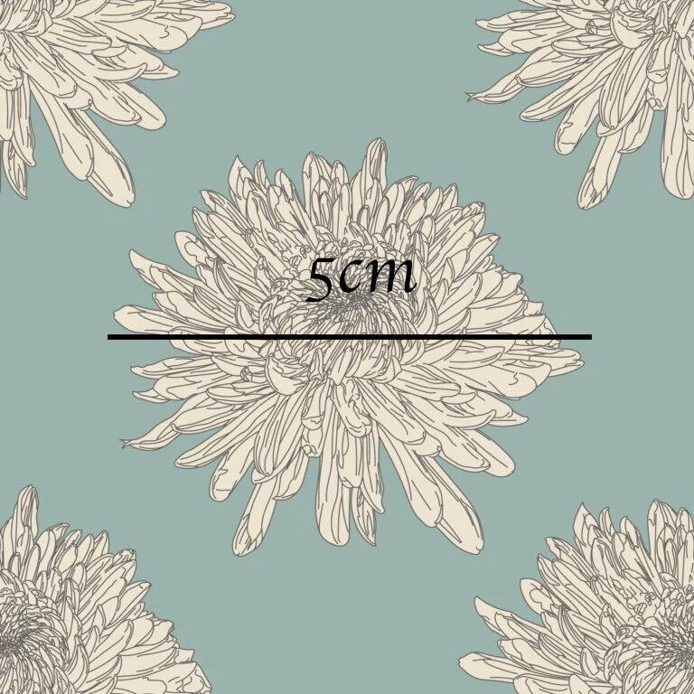 Chrysanthemum_DuckEgg_12-768x768.jpg