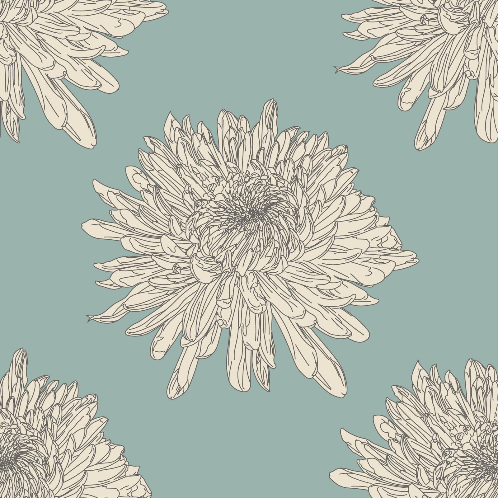Chrysanthemum_DuckEgg_12.jpg