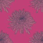 Pre-Order Chrysanthemum Pink